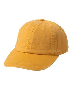 Alternative-Dad Cap-H0070