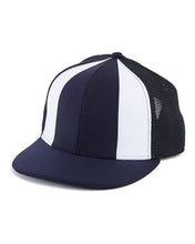 Load image into Gallery viewer, Alternative-The Fenway Ball Cap-H0111
