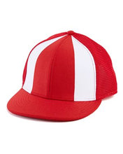 Load image into Gallery viewer, Alternative-The Fenway Ball Cap-H0111